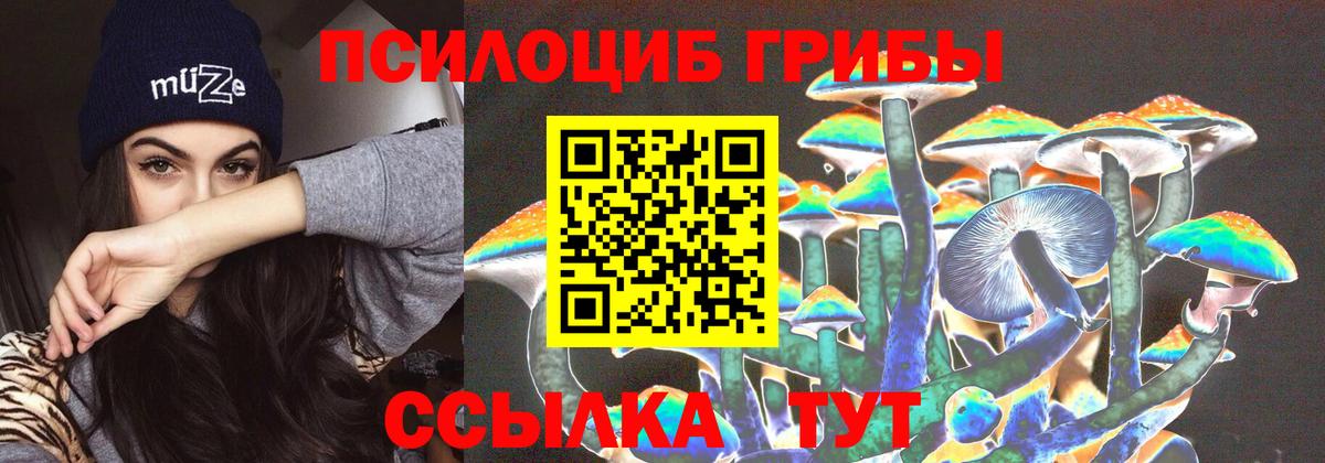 Псилоцибиновые грибы GOLDEN TEACHER Избербаш